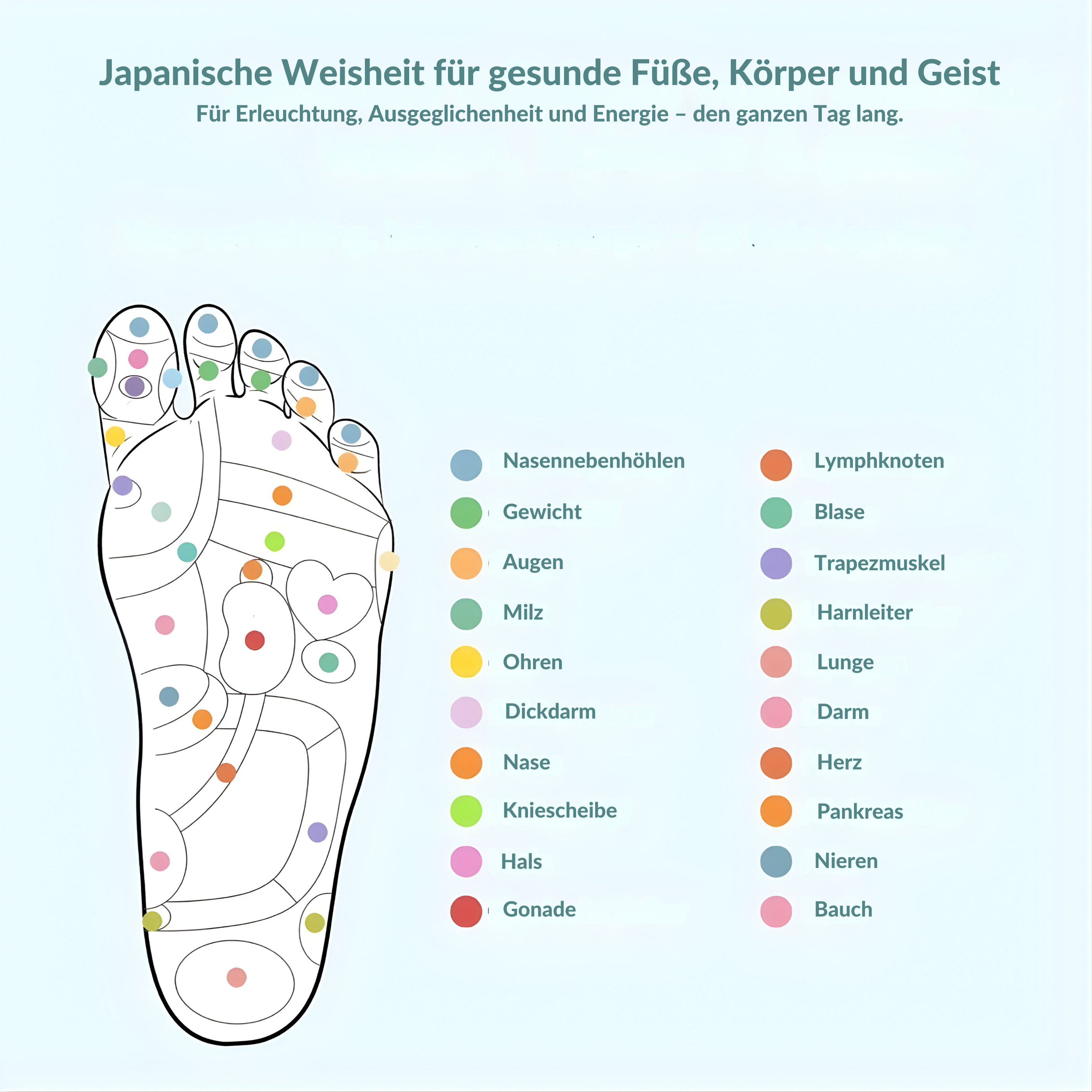 Semelles orthopédiques Orthoval