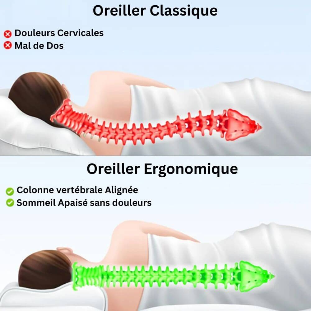Oreiller Cervical Ergonomique